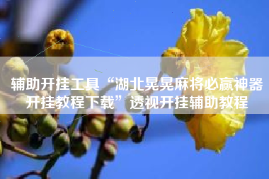 辅助开挂工具“湖北晃晃麻将必赢神器开挂教程下载”透视开挂辅助教程