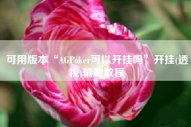 可用版本“AGPoker可以开挂吗”开挂(透视)辅助教程