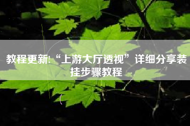 教程更新!“上游大厅透视”详细分享装挂步骤教程 教程更新!“上游大厅透视”详细分享装挂步骤教程