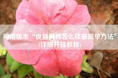 可用版本“夜猫麻将怎么挂最简单方法”(详细开挂教程)