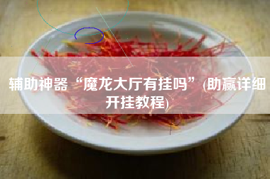 辅助神器“魔龙大厅有挂吗”(助赢详细开挂教程)