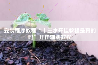 安装程序教程“十三水开挂教程是真的吗”开挂辅助教程