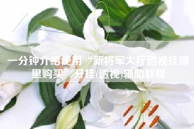 一分钟介绍使用“新将军大厅透视挂哪里购买”开挂(透视)辅助教程