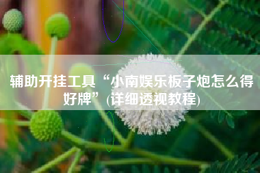 辅助开挂工具“小南娱乐板子炮怎么得好牌”(详细透视教程)