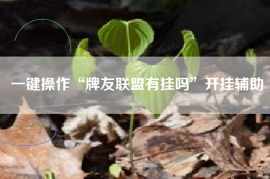 一键操作“牌友联盟有挂吗”开挂辅助