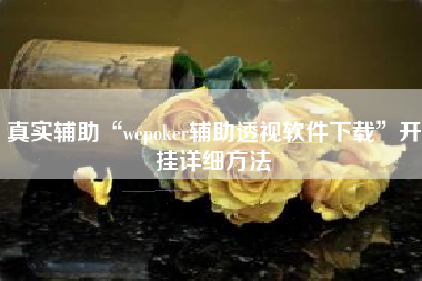 真实辅助“wepoker辅助透视软件下载”开挂详细方法