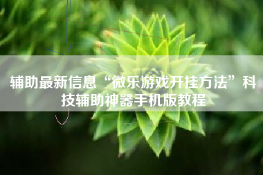 辅助最新信息“微乐游戏开挂方法”科技辅助神器手机版教程 辅助最新信息“微乐游戏开挂方法”科技辅助神器手机版教程
