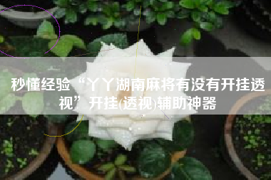 秒懂经验“丫丫湖南麻将有没有开挂透视”开挂(透视)辅助神器