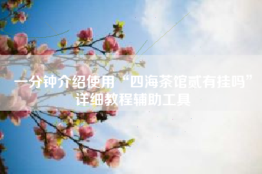 一分钟介绍使用“四海茶馆贰有挂吗”详细教程辅助工具