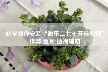 必学教你安装“微乐二七王开挂教程”作弊(透视)透视辅助 必学教你安装“微乐二七王开挂教程”作弊(透视)透视辅助