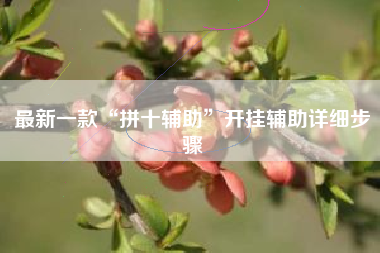 最新一款“拼十辅助”开挂辅助详细步骤