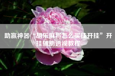 助赢神器“胡乐麻将怎么买挂开挂”开挂辅助透视教程