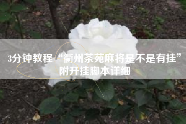 3分钟教程“衢州茶苑麻将是不是有挂”附开挂脚本详细