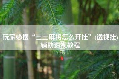 玩家必搜“三三麻将怎么开挂”(透视挂)辅助透视教程