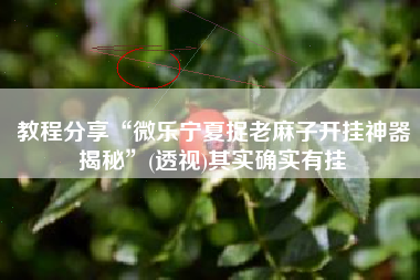 教程分享“微乐宁夏捉老麻子开挂神器揭秘”(透视)其实确实有挂 教程分享“微乐宁夏捉老麻子开挂神器揭秘”(透视)其实确实有挂