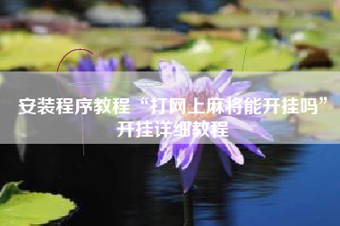 安装程序教程“打网上麻将能开挂吗”开挂详细教程