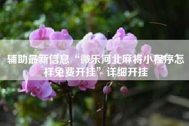 辅助最新信息“微乐河北麻将小程序怎样免费开挂”详细开挂