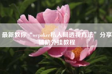 最新教你“wepoker私人局透视方法”分享辅助外挂教程 最新教你“wepoker私人局透视方法”分享辅助外挂教程