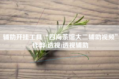 辅助开挂工具“四海茶馆大二辅助视频”作弊(透视)透视辅助 辅助开挂工具“四海茶馆大二辅助视频”作弊(透视)透视辅助