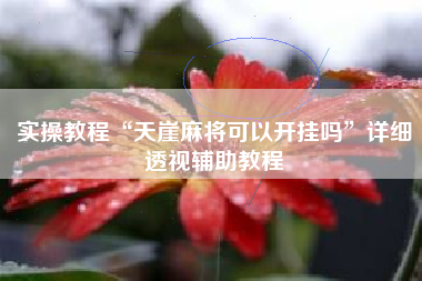 实操教程“天崖麻将可以开挂吗”详细透视辅助教程 实操教程“天崖麻将可以开挂吗”详细透视辅助教程