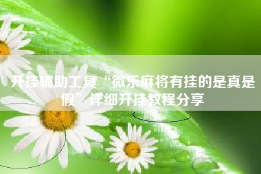 开挂辅助工具“微乐麻将有挂的是真是假”详细开挂教程分享