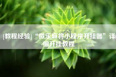 [教程经验]“微乐麻将小程序开挂器”详细开挂教程