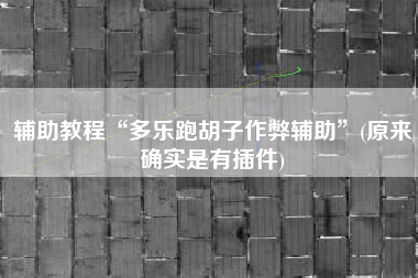 辅助教程“多乐跑胡子作弊辅助”(原来确实是有插件)