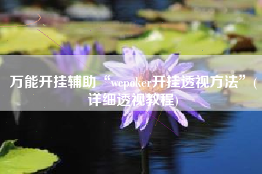 万能开挂辅助“wepoker开挂透视方法”(详细透视教程) 万能开挂辅助“wepoker开挂透视方法”(详细透视教程)