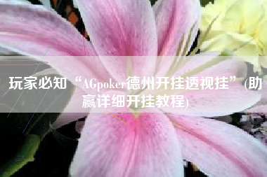 玩家必知“AGpoker德州开挂透视挂”(助赢详细开挂教程)