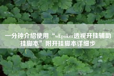 一分钟介绍使用“wEpoker透视开挂辅助挂脚本”附开挂脚本详细步