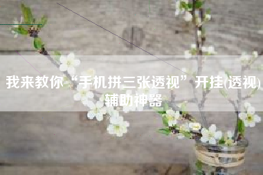 我来教你“手机拼三张透视”开挂(透视)辅助神器