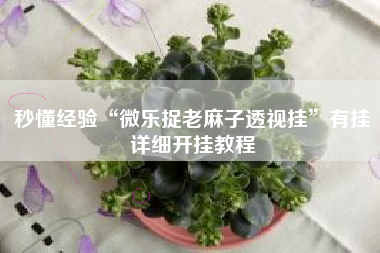 秒懂经验“微乐捉老麻子透视挂”有挂详细开挂教程 秒懂经验“微乐捉老麻子透视挂”有挂详细开挂教程