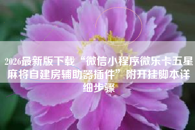 2026最新版下载“微信小程序微乐卡五星麻将自建房辅助器插件”附开挂脚本详细步骤