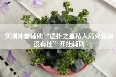 实测神器辅助“德扑之星私人局究竟有没有挂”开挂辅助 实测神器辅助“德扑之星私人局究竟有没有挂”开挂辅助