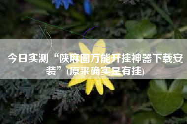 今日实测“陕麻圈万能开挂神器下载安装”(原来确实是有挂)