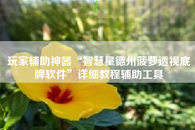 玩家辅助神器“智慧星德州菠萝透视底牌软件”详细教程辅助工具