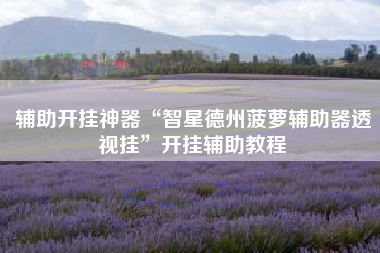 辅助开挂神器“智星德州菠萝辅助器透视挂”开挂辅助教程