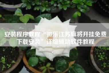 安装程序教程“微乐江苏麻将开挂免费下载安装”详细辅助软件教程 安装程序教程“微乐江苏麻将开挂免费下载安装”详细辅助软件教程