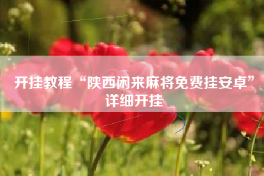 开挂教程“陕西闲来麻将免费挂安卓”详细开挂