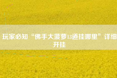 玩家必知“佛手大菠萝13道挂哪里”详细开挂