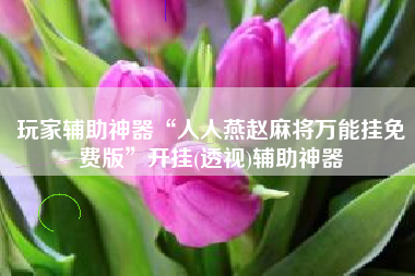 玩家辅助神器“人人燕赵麻将万能挂免费版”开挂(透视)辅助神器