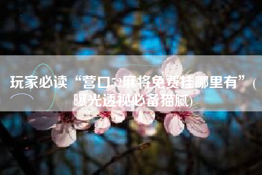 玩家必读“营口52麻将免费挂哪里有”(曝光透视必备猫腻) 玩家必读“营口52麻将免费挂哪里有”(曝光透视必备猫腻)