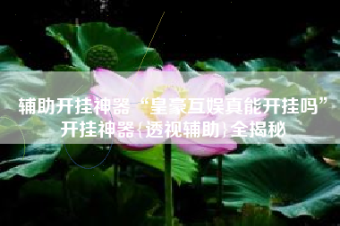 辅助开挂神器“皇豪互娱真能开挂吗”开挂神器{透视辅助}全揭秘