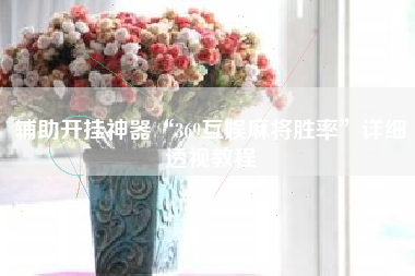 辅助开挂神器“369互娱麻将胜率”详细透视教程 辅助开挂神器“369互娱麻将胜率”详细透视教程