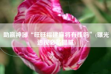 助赢神器“旺旺福建麻将有挂吗”(曝光透视必备猫腻) 助赢神器“旺旺福建麻将有挂吗”(曝光透视必备猫腻)