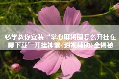 必学教你安装“掌心麻将圈怎么开挂在哪下载”开挂神器{透视辅助}全揭秘 必学教你安装“掌心麻将圈怎么开挂在哪下载”开挂神器{透视辅助}全揭秘