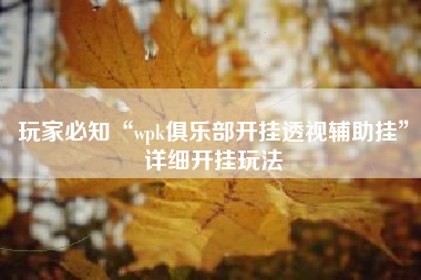 玩家必知“wpk俱乐部开挂透视辅助挂”详细开挂玩法 玩家必知“wpk俱乐部开挂透视辅助挂”详细开挂玩法