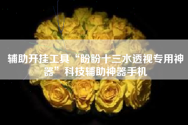 辅助开挂工具“盼盼十三水透视专用神器”科技辅助神器手机