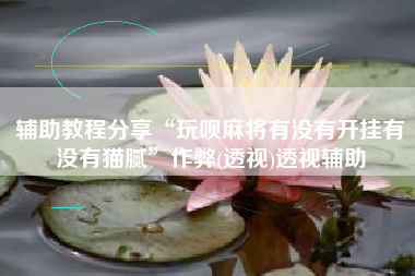 辅助教程分享“玩呗麻将有没有开挂有没有猫腻”作弊(透视)透视辅助 辅助教程分享“玩呗麻将有没有开挂有没有猫腻”作弊(透视)透视辅助