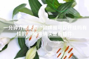 一分钟介绍使用“赣牌圈可以开挂吗有挂的”(原来确实是有插件) 一分钟介绍使用“赣牌圈可以开挂吗有挂的”(原来确实是有插件)